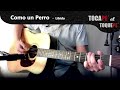 COMO UN PERRO 🐕 - Líbido / GUITARRA Cover / TocaPe al ToquePe