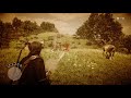 Dead Eye infinito Red dead redemption 2 ps4
