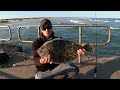 Do This for Flounder NOW - How to Catch Flounder