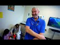 HOW TO INTERACT WITH A SHY PATIENT (As a Pediatrician) | Dr. Paul | Retired