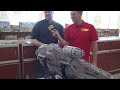 Custom LEGO Millennium Falcon with Amazing Full Interior! 20,000+ Pieces