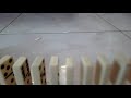 FIRST EVER DOMINO VIDEO