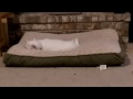 Pheobe lovin on the dog bed!