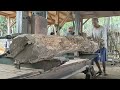 The operator reacts with extraordinary skill in processing teak wood.