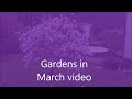 Gardens in March