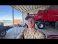 Australien Farm Vlog #08 Wie sieht die Gerste bei Trockenheit aus?