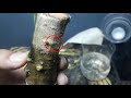 Make small bonsai from branch cutting (anting putri / wrightia religiosa )