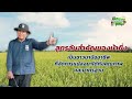 ส่องสูตรลับกับปุ๋ยไข่มุก ตอน การผลิตเมล็ดพันธุ์ข้าวปลูก นาเฮียใช้