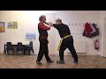 Lesson 41: Sun Palm Ward-off: Li (Lee) Family T'ai Chi Ch'uan