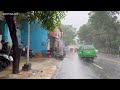 Super Heavy Rain in My Village | very cool, Sleep instantly with the sound of heavy rain - ASMR