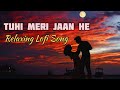 Tu Hi Meri Jaan: Relaxing Lofi song
