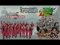 Banda Pequeños Musical, Banda Brava, La Arrolladora, Banda Machos, Banda Zorro