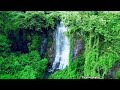 എന്റെ നാട് 🤗❤️Ayyappanov waterfalls /kattilangadi,mattummal /malappuram/Mini Athirapally