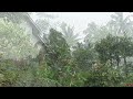 Refreshing rain in mountain village life l instantly fall asleep with the sound of rain l ASMR rain