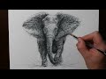 How to Draw an Elephant | Insane Scribble Art Drawing