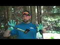 Hack And Squirt Herbicide Treatment To Ki*l Trees ( BARK INJECTION)