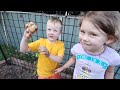 Kids make epic potato harvest from old bag of supermarket spuds