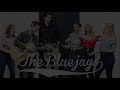 Everyday - Buddy Holly | The Bluejays Live Cover