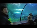 Episode 3. 4K Beautiful Chinese girl took me to the Aquarium!!!