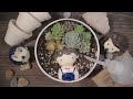 14 Succulent DIY Ideas| 14 Ý tưởng trang trí sen đá tuyệt đẹp| 多肉植物| 다육이들 | Suculentas