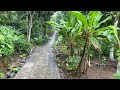 Beautiful Heavy Rain in an Indonesian Village | Rainy Atmosphere in Village Life | Very Calming