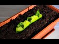 Useful Gardening Hacks To Must Know When Starting Gardening