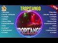 Las 10 mejores canciones de Tropitango 2024