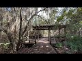 Trembling Earth Nature Trail & Boardwalk / Stephen C Foster State Park / Okefenokee Swamp / Georgia!