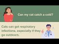 English Conversation For Pet Clinic Scenes丨English Speaking Practice丨Improve Your English