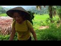 Harvest amaranth and water spinach to sell.  Daily life