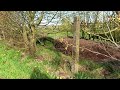 Dunnamore Riverside Walk - Car Camping weekend Part Eleven 21st April 2024