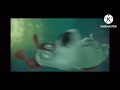 The secret life of pets:max gets dragged underwater in 2min