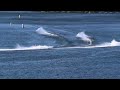 Hydroplane NZ High Speed V8 boats || Lake Karapiro HydroThunder Racing Series