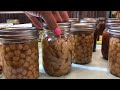 My First Time Pressure Canning | Pressure Canning Beans No Soak Method!