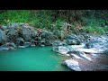 Relaxing River Sounds Healing Nature Sounds, River Sounds For Studying, Meditation Sounds