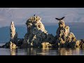 California's Alien Landscape: Discover Mono Lake's Secrets