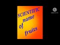 SCIENTIFIC NAMES OF FRUITS