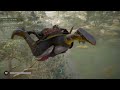 Assassin’s Creed Valhalla Swimming In Mid-air Bug