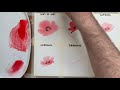 5 Easy & Essential Watercolor Techniques For Beginners