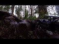 Lost in the woods with the Axial Capra