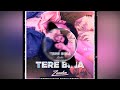 tere bina - Zaeden (Deepanshu Rishi Remix Bootleg) [REUPLOAD]