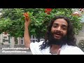 गुड़हल की तासीर और फायदे | Ayurvedic Benefits of Hibiscus Flower Gudhal Ke Phool By Nityanandam Shree