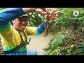 NEKAT MANCING DI DALAM HUTAN ‼️ || GAK NYANGKA PENGHUNINYA KOMPLIT