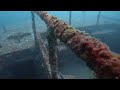 shipwreck free diving - musandam مسندم