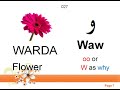 Arabic alphabet + Essential Words Every Arabic Beginner Must Know