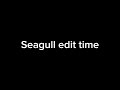 Seagull edit because I’m bored 😍