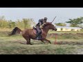 Latihan Horseback Archery di TEMBORO