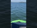 JetSki Riding Fast on Banana River Lagoon Florida Spacecoast #shorts #water #travel #ride #florida