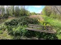 Lente ontwaakt in de Boonerslucht, Begin van een gele Oase bij Maassluis