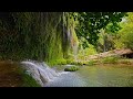 Relaxing Waterfall Sounds for Sleep | Fall Asleep & Stay Sleeping with Water White Noise | 3 Hours